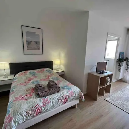 Confort Lumineux Proche Eurexpo, Hopitaux Apartment Bron
